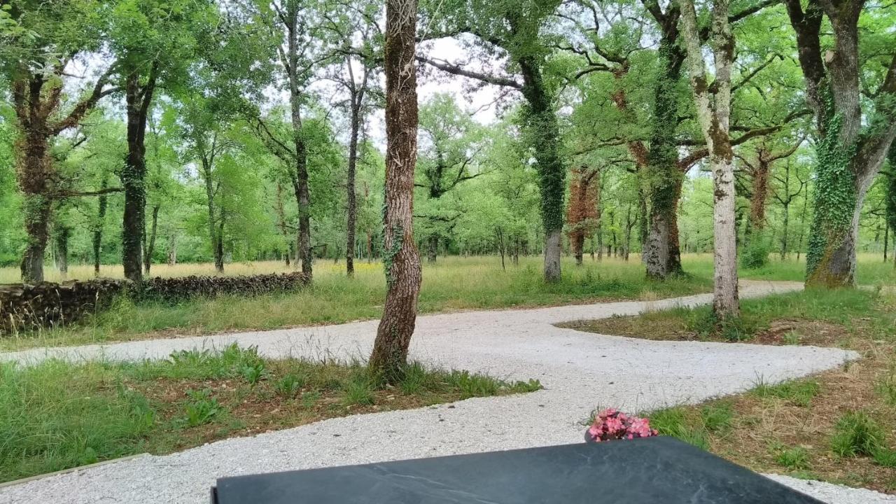 La Terrasse - A Peaceful Place In The Forest Concots Екстериор снимка